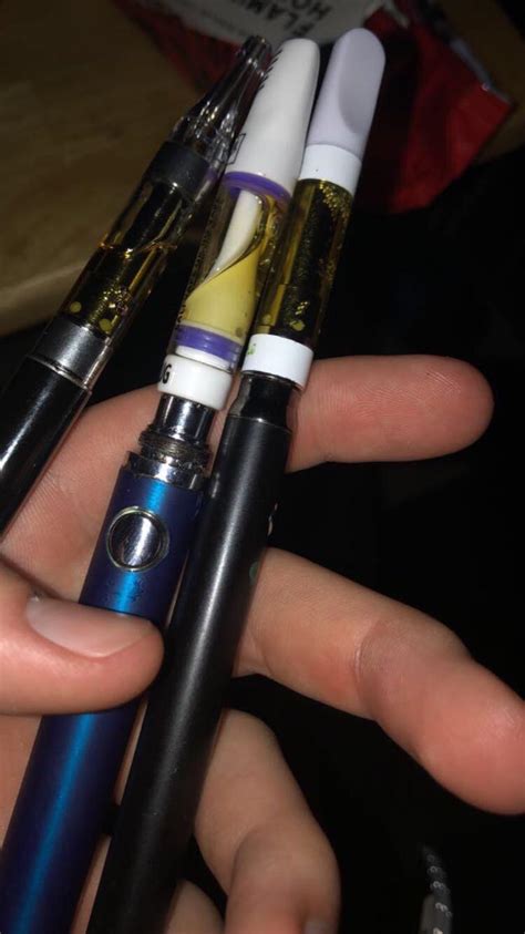 are cali plugs fake